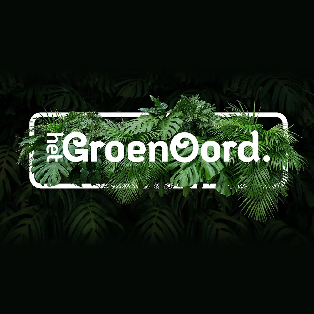 insta-logo-hgo